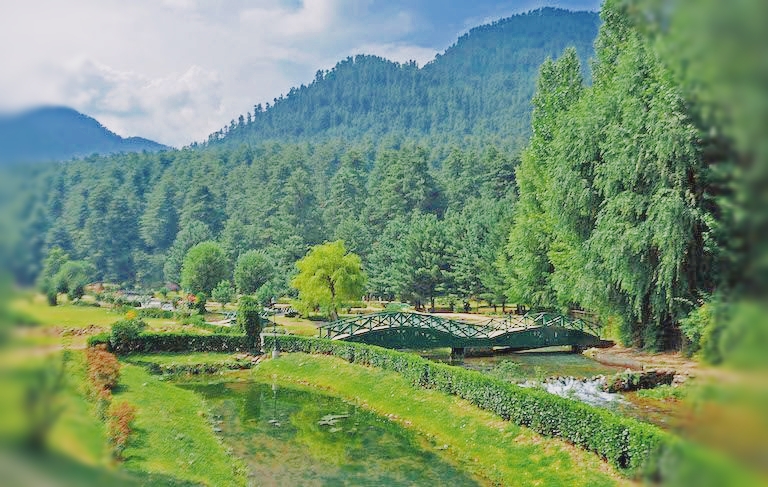 Explore enchanting Kashmir with Denizen Holidays - your sanctuary for bespoke tour packages in Sopore, Jammu and Kashmir! Specialising in crafting unforgettable trips, our agency offers picturesque hill stations, cozy holiday homes, and personalised experiences showcasing Kashmir's essence. From mesmerising attractions to Kashmiri restaurants and seamless transportation, we cover it all. Experience the serene waters with our unique houseboat rentals and choose from honeymoon getaways to family adventures. Book your dream trip package from Delhi or opt for our immersive 4-night, 5-day itinerary. Let Denizen Holidays bring your Kashmir travel dreams to life! #KashmirTripPackage #KashmirTourPackage #DenizenHolidays 🌸www.kashmirtourpackage.co