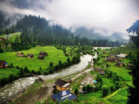 BUSSINESS NAME: Kashmir Tour package / Denizen Holidays | Kashmir Trip package| Best tour operator in Kashmir Address: Naseem bagh, M.E.T Rd, Sopore, New Light Colony, Jammu and Kashmir 193201. DISCRITION: "Discover the enchanting beauty of Kashmir with Denizen Holidays, the leading travel agent in Sopore, Jammu, and Kashmir. We specialize in tours, hill stations, holiday homes, and transportation services, striving to create extraordinary experiences that will leave you in awe. Immerse yourself in the heavenly splendor of this destination with scenic houseboat rentals and curated tours. Enjoy the authentic flavors of Kashmir at our restaurant. Trust Denizen Holidays to turn your dream vacation into a reality. Book now and unlock the captivating wonders of Kashmir!" www.kashmirtourpackage.co CELL NUMBER: 9906250867 KEYWORDS: kashmir travel package Kashmir trip package Kashmir tour package Cheaps tour package Jammu and Kashmir tour package Kashmir Valley best place to visit Best time to visit Kashmir Best tour package for Kashmir Kashmir tour package Delhi Kashmir tour packages Full Kashmir tour package Kashmir tour package from Srinagar Kashmir tour package from Delhi Kashmir tour package from Kolkata Kashmir tour package from Bangalore Kashmir tour package kolkata kashmir tour package cost Kashmir tour packages from Ahmedabad best time to visit Kashmir with family Kashmir tour packages veena world Kashmir tour package from Kerala Kashmir tour guide Kashmir tour package from Mumbai Kashmir tour package from Hyderabad Kashmir tour package surat is October a good time to visit Kashmir is March good time to visit Kashmir April kashmir tour package Kashmir tour package from katra Ladakh Kashmir tour package Kashmir tour packages from kerala kashmir tour packages from mumbai with price kashmir tour package ahmedabad best time to visit kashmir for honeymoon how many days required for kashmir trip irctc kashmir tour package 2024 irctc kashmir tour package 2025 kashmir tour package 6 nights 7 days KEY WORDS FOR LEH • Leh tour package • Leh Ladakh tour package • Leh Ladakh package from Delhi • Leh tour package 2025 • Budget Leh Ladakh tour package • Leh holiday package • Leh adventure tour package • Leh Ladakh family tour • Leh honeymoon package • Leh tour package for couples • Leh sightseeing package • Leh Ladakh package from Mumbai • Leh group tour package • Leh tour package with airfare • Best Leh Ladakh tour packages • Leh trip package • Leh Ladakh road trip package • Leh Ladakh luxury tour package • Leh Ladakh tour package with Pangong Lake • Leh Ladakh bike tour package • Leh package with Nubra Valley • Leh Ladakh trekking package • Ladakh tour package from Bangalore • Leh and Ladakh tour itinerary • Leh travel package with sightseeing