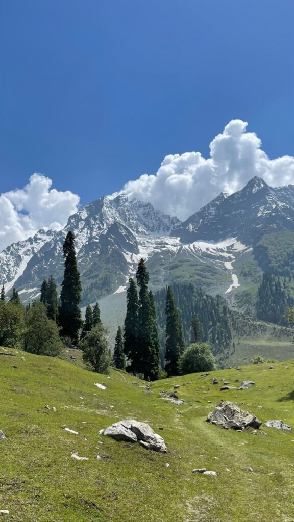 BUSSINESS NAME:
Kashmir Tour package / Denizen Holidays | Kashmir Trip package| Best tour operator
Address:
Naseem bagh, M.E.T Rd, Sopore, New Light Colony, Jammu and Kashmir 193201.
DISCRITION:
"Discover the enchanting beauty of Kashmir with Denizen Holidays, the leading travel agent in Sopore, Jammu, and Kashmir. We specialize in tours, hill stations, holiday homes, and transportation services, striving to create extraordinary experiences that will leave you in awe. Immerse yourself in the heavenly splendor of this destination with scenic houseboat rentals and curated tours. Enjoy the authentic flavors of Kashmir at our restaurant. Trust Denizen Holidays to turn your dream vacation into a reality. Book now and unlock the captivating wonders of Kashmir!"
www.kashmirtourpackage.co
CELL NUMBER: 9906250867
KEYWORDS:
Kashmir trip package
Kashmir tour package
Cheaps tour package
Jammu and Kashmir tour package
Kashmir Valley best place to visit
best time to visit Kashmir
best tour package for Kashmir
Kashmir tour package Delhi
Kashmir tour packages
Full Kashmir tour package
Kashmir tour package from Srinagar
Kashmir tour package from Delhi
Kashmir tour package from Kolkata
Kashmir tour package from Bangalore
Kashmir tour package kolkata
kashmir tour package cost
Kashmir tour packages from Ahmedabad
best time to visit Kashmir with family
Kashmir tour packages veena world
Kashmir tour package from Kerala
Kashmir tour guide
Kashmir tour package from Mumbai
Kashmir tour package from Hyderabad
Kashmir tour package surat
is October a good time to visit Kashmir
is March good time to visit Kashmir
April kashmir tour package
Kashmir tour package from katra
Ladakh Kashmir tour package
Kashmir tour packages from kerala
kashmir tour packages from mumbai with price
kashmir tour package ahmedabad
best time to visit kashmir for honeymoon
how many days required for kashmir trip
irctc kashmir tour package 2024
irctc kashmir tour package 2025
kashmir tour package 6 nights 7 days

KEY WORDS FOR LEH
• Leh tour package
• Leh Ladakh tour package
• Leh Ladakh package from Delhi
• Leh tour package 2025
• Budget Leh Ladakh tour package
• Leh holiday package
• Leh adventure tour package
• Leh Ladakh family tour
• Leh honeymoon package
• Leh tour package for couples
• Leh sightseeing package
• Leh Ladakh package from Mumbai
• Leh group tour package
• Leh tour package with airfare
• Best Leh Ladakh tour packages
• Leh trip package
• Leh Ladakh road trip package
• Leh Ladakh luxury tour package
• Leh Ladakh tour package with Pangong Lake
• Leh Ladakh bike tour package
• Leh package with Nubra Valley
• Leh Ladakh trekking package
• Ladakh tour package from Bangalore
• Leh and Ladakh tour itinerary
• Leh travel package with sightseeing
