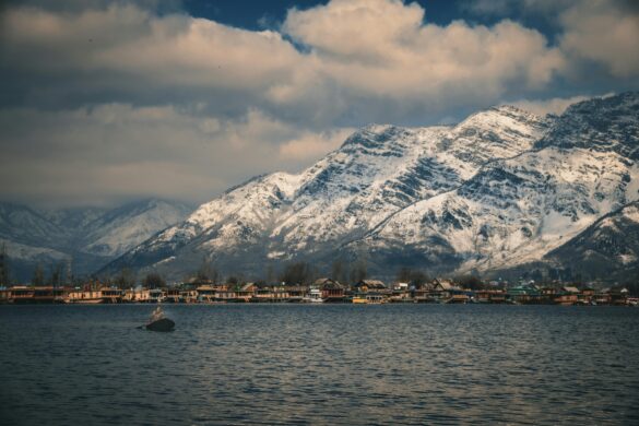 BUSSINESS NAME: Kashmir Tour package / Denizen Holidays | Kashmir Trip package| Best tour operator Address: Naseem bagh, M.E.T Rd, Sopore, New Light Colony, Jammu and Kashmir 193201. DISCRITION: "Discover the enchanting beauty of Kashmir with Denizen Holidays, the leading travel agent in Sopore, Jammu, and Kashmir. We specialize in tours, hill stations, holiday homes, and transportation services, striving to create extraordinary experiences that will leave you in awe. Immerse yourself in the heavenly splendor of this destination with scenic houseboat rentals and curated tours. Enjoy the authentic flavors of Kashmir at our restaurant. Trust Denizen Holidays to turn your dream vacation into a reality. Book now and unlock the captivating wonders of Kashmir!" www.kashmirtourpackage.co CELL NUMBER: 9906250867 KEYWORDS: kashmir travel package Kashmir trip package Kashmir tour package Cheaps tour package Jammu and Kashmir tour package Kashmir Valley best place to visit best time to visit Kashmir best tour package for Kashmir Kashmir tour package Delhi Kashmir tour packages Full Kashmir tour package Kashmir tour package from Srinagar Kashmir tour package from Delhi Kashmir tour package from Kolkata Kashmir tour package from Bangalore Kashmir tour package kolkata kashmir tour package cost Kashmir tour packages from Ahmedabad best time to visit Kashmir with family Kashmir tour packages veena world Kashmir tour package from Kerala Kashmir tour guide Kashmir tour package from Mumbai Kashmir tour package from Hyderabad Kashmir tour package surat is October a good time to visit Kashmir is March good time to visit Kashmir April kashmir tour package Kashmir tour package from katra Ladakh Kashmir tour package Kashmir tour packages from kerala kashmir tour packages from mumbai with price kashmir tour package ahmedabad best time to visit kashmir for honeymoon how many days required for kashmir trip irctc kashmir tour package 2024 irctc kashmir tour package 2025 kashmir tour package 6 nights 7 days KEY WORDS FOR LEH • Leh tour package • Leh Ladakh tour package • Leh Ladakh package from Delhi • Leh tour package 2025 • Budget Leh Ladakh tour package • Leh holiday package • Leh adventure tour package • Leh Ladakh family tour • Leh honeymoon package • Leh tour package for couples • Leh sightseeing package • Leh Ladakh package from Mumbai • Leh group tour package • Leh tour package with airfare • Best Leh Ladakh tour packages • Leh trip package • Leh Ladakh road trip package • Leh Ladakh luxury tour package • Leh Ladakh tour package with Pangong Lake • Leh Ladakh bike tour package • Leh package with Nubra Valley • Leh Ladakh trekking package • Ladakh tour package from Bangalore • Leh and Ladakh tour itinerary • Leh travel package with sightseeing