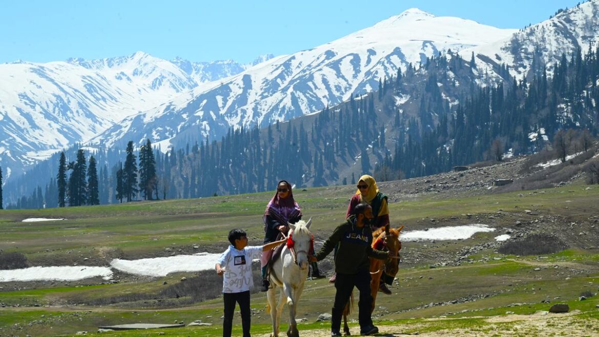 Best Kashmir tour package by Denizen Holidays BUSINESS NAME: Kashmir Tour package / Denizen Holidays | Kashmir Trip package| Kerala Trips Naseem Bagh, M.E.T. Rd, Sopore, New Light Colony, Jammu and Kashmir 193201. DESCRIPTION: "Explore enchanting Kashmir with Denizen Holidays - your sanctuary for bespoke tour packages in Jammu and Kashmir! Specialising in crafting unforgettable trips, our agency offers picturesque hill stations, cosy holiday homes, and personalised experiences that showcase the essence of Kashmir. From mesmerising attractions to Kashmiri restaurants and seamless transportation, we cover it all. Experience the serene waters with our unique houseboat rentals and choose from honeymoon getaways to family adventures. Book your dream trip package from Delhi or opt for our immersive 4-night, 5-day itinerary. Let Denizen Holidays bring your Kashmir travel dreams to life! "Discover the enchanting beauty of Kashmir with Denizen Holidays, the leading travel agent in Sopore, Jammu, and Kashmir. We specialise in tours, hill stations, holiday homes, and transportation services, striving to create extraordinary experiences that will leave you in awe. Immerse yourself in the heavenly splendour of this destination with scenic houseboat rentals and curated tours. Enjoy the authentic flavours of Kashmir at our restaurant. Trust Denizen Holidays to turn your dream vacation into a reality. Book now and unlock the captivating wonders of Kashmir!" www.kashmirtourpackage.co CELL NUMBER: 9906250867 KEYWORDS: 1. Primary Keywords: i. Kashmir tour packages from Bangladesh ii. Best family tours in Kashmir iii. Affordable Kashmir honeymoon packages iv. Srinagar-Gulmarg-Pahalgam itinerary 2. Long-Tail Keywords: i. Kashmir houseboat booking tips ii. Skiing in Gulmarg December prices iii. Amarnath Yatra tour package with helicopter 3. Other Key words: 4. Tour operator in Srinagar 5. Kashmir travel agency near me 6. Kashmir to Srinagar 7. Kashmir holiday package 8. Srinagar to Kashmir 9. Pahalgam in Kashmir 10. Srinagar to Pahalgam 11. Kashmir to Gulmarg 12. Srinagar to Gulmarg 13. Package for Kashmir 14. Kashmir tourism packages 15. Kashmir Travel Package 16. Kashmir trip package 17. Kashmir tour package 18. Cheap Tour Package 19. Jammu and Kashmir tour package 20. Kashmir leh 21. Zanskar, Jammu and Kashmir 22. Sonmarg in Kashmir 23. Kashmir tourism places 24. Kashmir travel places 25. Kashmir Valley is the best place to visit 26. Best time to visit Kashmir 27. Best tour package for Kashmir 28. Kashmir tour package from Delhi 29. Kashmir tour packages 30. Full Kashmir tour package 31. Kashmir tour spot 32. Kashmir travelling places 33. Places to visit in Kashmir 34. Kashmir tour package from Srinagar 35. Kashmir tour package from Delhi 36. Kashmir tour package from Kolkata 37. Kashmir tour package from Bangalore 38. Kashmir tour package Kolkata 39. Kashmir tour package cost 40. Kashmir tour packages from Ahmedabad 41. Best time to visit Kashmir with family 42. Veena World 43. Kashmir tour package from Kerala 44. Kashmir tour guide 45. Kashmir tour package from Mumbai 46. Kashmir tour package from Hyderabad 47. Kashmir tour package Surat 48. Is October a good time to visit Kashmir? 49. Is March good time to visit Kashmir? 50. April Kashmir tour package 51. Kashmir tour package from katra 52. Ladakh Kashmir tour package 53. Kashmir tour packages from kerala 54. Kashmir tour packages from mumbai with price 55. Kashmir tour package Ahmedabad 56. Best time to visit Kashmir for a honeymoon 57. How many days are required for the Kashmir Trip? 58. IRCTC Kashmir tour package 2024 59. IRCTC Kashmir tour package 2025 60. Kashmir tour package 6 nights 7 days 61. Kashmir tourist locations 62. Tourist attractions in Kashmir 63. Places to see in Srinagar, Kashmir, India 64. Tourist destinations in Kashmir 65. Kashmir places to go KEY WORDS FOR LEH a. Leh tour package b. Leh tour package c. Leh Ladakh tour package d. Leh Ladakh package from Delhi e. Leh tour package 2025 f. Budget Leh Ladakh tour package g. Leh holiday package h. Leh adventure tour package i. Leh Ladakh family tour j. Leh honeymoon package k. Leh tour package for couples l. Leh sightseeing package m. Leh Ladakh package from Mumbai n. Leh group tour package o. Leh tour package with airfare p. Best Leh Ladakh tour packages q. Leh trip package r. Leh Ladakh road trip package s. Leh Ladakh luxury tour package t. Leh Ladakh tour package with Pangong Lake u. Leh Ladakh bike tour package v. Leh package with Nubra Valley w. Leh Ladakh trekking package x. Ladakh tour package from Bangalore y. Leh and Ladakh tour itinerary z. Leh travel package with sightseeing What are the best Kashmir tour packages? Top-rated Kashmir travel packages for couples/families? Best time to book a Kashmir tour package? Affordable Kashmir tour deals this year
