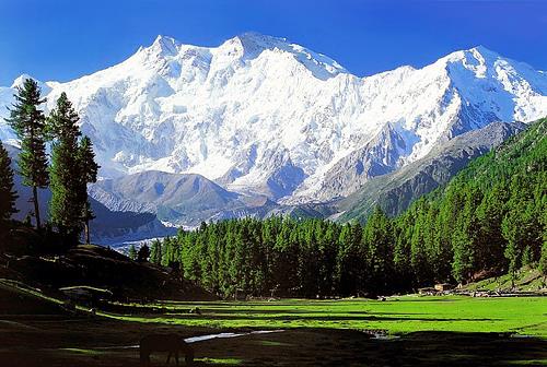 BUSINESS NAME: Kashmir Tour package / Denizen Holidays | Local Kashmir tour operator| Best travel Agency in Jammu & Kashmir Naseem Bagh, M.E.T. Rd, Sopore, New Light Colony, Jammu and Kashmir 193201. DESCRIPTION: "Explore enchanting Kashmir with Denizen Holidays - your sanctuary for bespoke tour packages in Jammu and Kashmir! Specialising in crafting unforgettable trips, our agency offers picturesque hill stations, cosy holiday homes, and personalised experiences that showcase the essence of Kashmir. From mesmerising attractions to Kashmiri restaurants and seamless transportation, we cover it all. Experience the serene waters with our unique houseboat rentals and choose from honeymoon getaways to family adventures. Book your dream trip package from Delhi or opt for our immersive 4-night, 5-day itinerary. Let Denizen Holidays bring your Kashmir travel dreams to life! "Discover the enchanting beauty of Kashmir with Denizen Holidays, the leading travel agent in Sopore, Jammu, and Kashmir. We specialise in tours, hill stations, holiday homes, and transportation services, striving to create extraordinary experiences that will leave you in awe. Immerse yourself in the heavenly splendour of this destination with scenic houseboat rentals and curated tours. Enjoy the authentic flavours of Kashmir at our restaurant. Trust Denizen Holidays to turn your dream vacation into a reality. Book now and unlock the captivating wonders of Kashmir!" www.kashmirtourpackage.co CELL NUMBER: 9906250867 KEYWORDS: 1. Primary Keywords: i. Kashmir tour packages from Bangladesh ii. Best family tours in Kashmir iii. Affordable Kashmir honeymoon packages iv. Srinagar-Gulmarg-Pahalgam itinerary 2. Long-Tail Keywords: i. Kashmir houseboat booking tips ii. Skiing in Gulmarg December prices iii. Amarnath Yatra tour package with helicopter 3. Other Key words: 4. Tour operator in Srinagar 5. Kashmir travel agency near me 6. Kashmir to Srinagar 7. Kashmir holiday package 8. Srinagar to Kashmir 9. Pahalgam in Kashmir 10. Srinagar to Pahalgam 11. Kashmir to Gulmarg 12. Srinagar to Gulmarg 13. Package for Kashmir 14. Kashmir tourism packages 15. Kashmir Travel Package 16. Kashmir trip package 17. Kashmir tour package 18. Cheap Tour Package 19. Jammu and Kashmir tour package 20. Kashmir leh 21. Zanskar, Jammu and Kashmir 22. Sonmarg in Kashmir 23. Kashmir tourism places 24. Kashmir travel places 25. Kashmir Valley is the best place to visit 26. Best time to visit Kashmir 27. Best tour package for Kashmir 28. Kashmir tour package from Delhi 29. Kashmir tour packages 30. Full Kashmir tour package 31. Kashmir tour spot 32. Kashmir travelling places 33. Places to visit in Kashmir 34. Kashmir tour package from Srinagar 35. Kashmir tour package from Delhi 36. Kashmir tour package from Kolkata 37. Kashmir tour package from Bangalore 38. Kashmir tour package Kolkata 39. Kashmir tour package cost 40. Kashmir tour packages from Ahmedabad 41. Best time to visit Kashmir with family 42. Veena World 43. Kashmir tour package from Kerala 44. Kashmir tour guide 45. Kashmir tour package from Mumbai 46. Kashmir tour package from Hyderabad 47. Kashmir tour package Surat 48. Is October a good time to visit Kashmir? 49. Is March good time to visit Kashmir? 50. April Kashmir tour package 51. Kashmir tour package from katra 52. Ladakh Kashmir tour package 53. Kashmir tour packages from kerala 54. Kashmir tour packages from mumbai with price 55. Kashmir tour package Ahmedabad 56. Best time to visit Kashmir for a honeymoon 57. How many days are required for the Kashmir Trip? 58. IRCTC Kashmir tour package 2024 59. IRCTC Kashmir tour package 2025 60. Kashmir tour package 6 nights 7 days 61. Kashmir tourist locations 62. Tourist attractions in Kashmir 63. Places to see in Srinagar, Kashmir, India 64. Tourist destinations in Kashmir 65. Kashmir places to go KEY WORDS FOR LEH a. Leh tour package b. Leh tour package c. Leh Ladakh tour package d. Leh Ladakh package from Delhi e. Leh tour package 2025 f. Budget Leh Ladakh tour package g. Leh holiday package h. Leh adventure tour package i. Leh Ladakh family tour j. Leh honeymoon package k. Leh tour package for couples l. Leh sightseeing package m. Leh Ladakh package from Mumbai n. Leh group tour package o. Leh tour package with airfare p. Best Leh Ladakh tour packages q. Leh trip package r. Leh Ladakh road trip package s. Leh Ladakh luxury tour package t. Leh Ladakh tour package with Pangong Lake u. Leh Ladakh bike tour package v. Leh package with Nubra Valley w. Leh Ladakh trekking package x. Ladakh tour package from Bangalore y. Leh and Ladakh tour itinerary z. Leh travel package with sightseeing What are the best Kashmir tour packages? Top-rated Kashmir travel packages for couples/families? Best time to book a Kashmir tour package? Affordable Kashmir tour deals this year