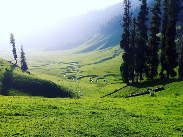 Discover Kupwara: Kashmir’s Hidden Gem with Denizen Holidays Nestled in the northern reaches of Jammu and Kashmir, Kupwara is a pristine paradise that remains untouched by mass tourism. With its emerald valleys, snow-capped peaks, and vibrant cultural heritage, this district is a must-visit for travellers seeking an authentic Kashmir tour package. At Denizen Holidays, we craft unforgettable Kashmir trip packages that cater to adventurers, honeymooners, and corporate groups, showcasing the raw beauty of Kupwara. Visit our website at www.kashmirtourpackage.co or connect with us on WhatsApp at 9906250867 to plan your dream escape. Why Choose Kupwara for Your Next Trip? Kupwara offers an escape from the crowded tourist spots, blending natural splendor with rich cultural experiences. Here’s why it’s perfect for your Kashmir travel package: • Pristine Landscapes: Discover unspoiled valleys like Bangus and Lolab, where lush meadows, crystal-clear streams, and diverse wildlife create a serene backdrop. • Cultural Heritage: Immerse yourself in the spiritual legacy of Sharda Peeth Temple and the vibrant traditions of Gujjar nomad communities. • Adventure Haven: From trekking near the Line of Control (LoC) to trout fishing and snow sports, Kupwara is an adrenaline junkie’s paradise.https://en.wikipedia.org/wiki/Line_of_Control Top Attractions in Kupwara Bangus Valley Spanning 300 sq km, Bangus Valley is a breathtaking expanse of grasslands and pine forests, perfect for camping and wildlife enthusiasts. Visit between June and September to witness vibrant alpine blooms. A highlight of our Kashmir trip package, this valley promises tranquility and stunning vistas. Lolab Valley Known as Kashmir’s “Fruit Bowl,” Lolab Valley enchants with its apple orchards, ancient Kalaroos Caves, and the serene Daal Kul Lake. It’s a must-visit for couples on a Kashmir honeymoon trip package seeking romantic picnics amidst nature. Sharda Peeth Temple, Teetwal Rebuilt in 2022, this sacred site along the Kishanganga River is a beacon of Kashmiri Hindu heritage. Ideal for sunrise meditation, it’s a spiritual highlight in our Kashmir tour package. Machil Sector For thrill-seekers, Machil offers rugged trekking routes with panoramic Himalayan views near the LoC. Permits are required, but Denizen Holidays ensures seamless logistics for a hassle-free adventure. Tailored Kupwara Experiences with Denizen Holidays At Denizen Holidays, we offer customised Kashmir tour packages to suit every traveler’s needs, from romantic getaways to corporate retreats. Here are our signature offerings: 1. Classic Kashmir Tour Package Duration: 6 Days|Price:₹32,999/person Highlights: • Shikara ride on Dal Lake, Srinagar • Trekking in the scenic Bangus Valley • Sharda Peeth darshan and LoC photography in Keran • Authentic homestay dinners with priest families in Teetwal 2. Romantic Kashmir Honeymoon Trip Package Duration: 7 Days | Price: ₹48,500/couple Highlights: • Private picnic in Lolab’s apple orchards • Sunrise meditation at Sharda Peeth Temple • Luxurious houseboat stay on Nigeen Lake • Romantic kahwa tasting in Srinagar’s Mughal gardens 3. Corporate Kashmir Travel Package Designed for team-building and strategy retreats, our corporate tours Kashmir combine adventure, wellness, and productivity: Activities: • Team-Building: White-water rafting on Kishanganga River (Grade II rapids) and Gujjar cheese-making workshops • Strategy Sessions: Hosted at secure LoC-view resorts in Keran • Wellness: Yoga and meditation sessions in Bangus Meadows • Logistics: Armoured vehicles, satellite phones, and on-call medical support 4. Adventure-Centric Kashmir Trip Package Perfect for thrill-seekers, this package includes: • Trekking Machil’s rugged ridges with ex-army guides • Trout fishing in the Veshaw River • Starlit camping in Bangus Valley Travel Essentials for Your Kupwara Adventure • Best Time to Visit: April to October for snow-free treks and lush landscapes, or December to February for a magical winter experience. • Permits: Required for LoC areas like Machil and Keran. Denizen Holidays fast-tracks approvals through our military liaisons. • How to Reach Kupwara: o By Air: Fly to Srinagar International Airport (90 km from Kupwara). o By Road: Enjoy a scenic 3-hour drive from Srinagar via NH701. Why Choose Denizen Holidays? Denizen Holidays is your trusted partner for a seamless Kashmir tour package. Here’s what sets us apart: • Safety First: Travel with peace of mind with ex-army guides, 24/7 GPS tracking, and trauma kits. • Ethical Travel: 5% of our profits support education initiatives in Kupwara’s local communities. • Seamless Logistics: From permits to culturally immersive homestays, we handle every detail so you can focus on the experience. As one of our travelers beautifully said, “Kupwara is where mountains whisper tales of resilience, and every sunset invites you to return.” Let Denizen Holidays bring this paradise to life with our expertly curated Kashmir travel package. Book Your Kupwara Adventure Today! Ready to explore the untouched beauty of Kupwara? Contact Denizen Holidays to customize your Kashmir trip package or Kashmir honeymoon trip package. For corporate groups, our corporate tours Kashmir offer a unique blend of adventure and productivity. 🌐 Explore Packages: www.kashmirtourpackage.co 📱 WhatsApp: 9906250867 Embark on a journey to Kashmir’s hidden gem with Denizen Holidays and create memories that last a lifetime!