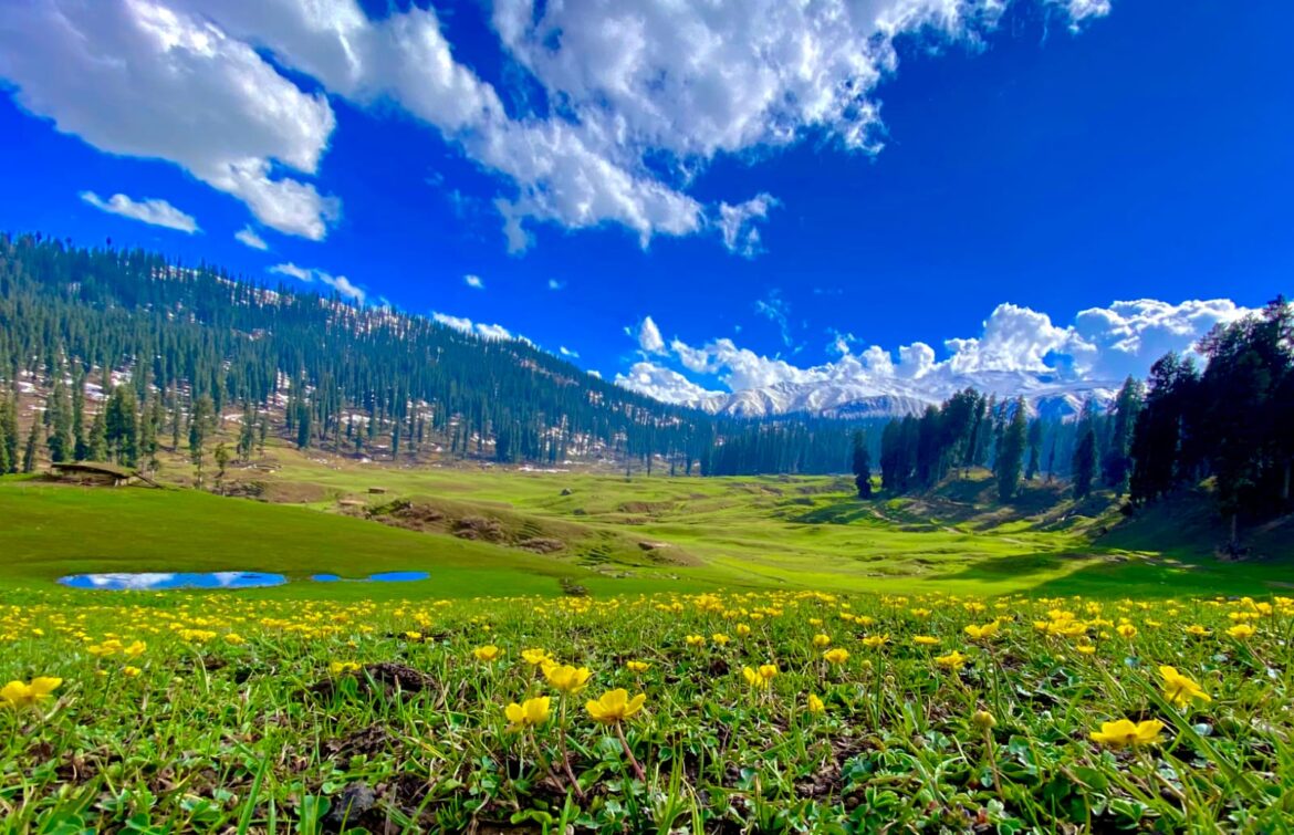 KASHIR TRAVEL PACKAGE DENIZEN HOLIDAYS Explore enchanting Kashmir with Denizen Holidays - your sanctuary for bespoke tour packages in Jammu and Kashmir! Specialising in crafting unforgettable trips, our agency offers picturesque hill stations, cosy holiday homes, and personalised experiences that showcase the essence of Kashmir. From mesmerising attractions to Kashmiri restaurants and seamless transportation, we cover it all. Experience the serene waters with our unique houseboat rentals and choose from honeymoon getaways to family adventures. Book your dream trip package from Delhi or opt for our immersive 4-night, 5-day itinerary. Let Denizen Holidays bring your Kashmir travel dreams to life! "Discover the enchanting beauty of Kashmir with Denizen Holidays, the leading travel agent in Sopore, Jammu, and Kashmir. We specialise in tours, hill stations, holiday homes, and transportation services, striving to create extraordinary experiences that will leave you in awe. Immerse yourself in the heavenly splendour of this destination with scenic houseboat rentals and curated tours. Enjoy the authentic flavours of Kashmir at our restaurant. Trust Denizen Holidays to turn your dream vacation into a reality. Book now and unlock the captivating wonders of Kashmir!"