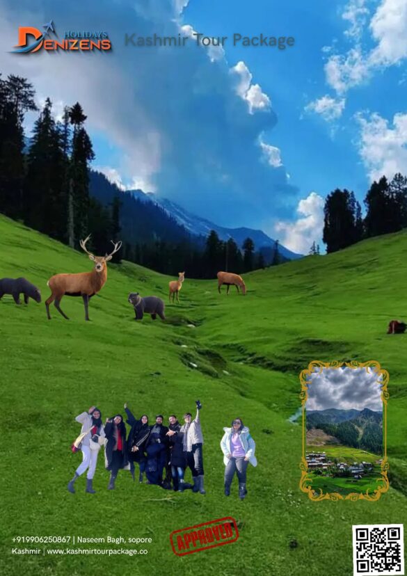 Mahu Valley: Unveiling Kashmir's Best-Kept Secret with Denizen Holidays Abstract: Discover Mahu Valley, Kashmir's best-kept secret. Explore pristine meadows, starlit camps, and thrilling treks with Denizen Holidays. Your perfect offbeat Kashmir holiday package awaits—keywords: Kashmir travel packages, luxury Kashmir tour, Kashmir Tour Package, Kashmir Tours, & Kashmir Trip Package. Mahu Valley: Unveiling Kashmir's Best-Kept Secret with Denizen Holidays Introduction: Beyond the Beaten Path in Paradise When you think of a Kashmir holiday package, what comes to mind? The serene shikaras of Dal Lake? The snowy slopes of Gulmarg? While these iconic destinations are undeniably beautiful, there exists a Kashmir that few have witnessed—a Kashmir untouched by the crowds, where silence is broken only by the whisper of the wind and the melody of meandering streams. This is the Kashmir of Mahu Valley (also known as Maho-Mangat) . Tucked away like a precious secret, Mahu Valley is a masterpiece of nature, a place that appears as if God Himself paused to paint with His finest brush. It is a symphony of huge grassy meadows, pristine forests of fir and deodar, and snow-clad peaks standing as silent sentinels in the backdrop. For the traveller who believes the true soul of a place lies beyond the guidebooks, Mahu Valley is the ultimate destination . At Denizen Holidays, we are pioneers of experiential travel. We specialise in crafting Kashmir travel packages that don’t just show you places, but make you feel them. In Mahu Valley, we have found a canvas upon which to paint the most extraordinary, offbeat adventures, romantic escapes, and luxury retreats. This blog is your invitation to discover why Mahu Valley should be the crown jewel of your next Kashmir itinerary . Why Mahu Valley is the Future of Offbeat Travel in Kashmir The Himachal Pradesh government’s active consideration of Mahu Valley for rural tourism is a testament to its immense potential. This isn't about building large hotels; it's about promoting homestays, local art, culture, and cuisine. It’s about generating local employment and ensuring tourism uplifts the socio-economic fabric of the community. By visiting now, you become part of a sustainable and transformative travel story . Here’s what makes Mahu Valley so uniquely captivating: 1. A Landscape Painted by the Gods: The description is not an exaggeration. The valley boasts vast, undulating grassy meadows that seem to roll on forever, bordered by dense, fragrant cover of fir and deodar trees. The air is scented with pine, and the only sounds are the gentle gurgle of streams and the distant call of mountain birds . 2. A Sanctuary for Unique Flora and Fauna: This is a living, breathing ecosystem. As you explore, you might spot unique Himalayan flora and, if you're lucky, glimpses of the fauna that call this paradise home. It’s a nature lover’s and photographer’s dream come true. 3. The Promise of Authenticity: With a focus on homestays and local culture, a visit to Mahu Valley is a chance to connect with the heart of Kashmir. Share a meal with a local family, learn about their traditions, and listen to stories that have been passed down through generations. This authenticity is what sets our Kashmir holiday packages apart. 4. An Adventure Playground: For those who seek more than just views, Mahu Valley is an all-terrain adventure park. It offers a pristine environment for trekking, hill climbing, river crossing, and one of its most magical offerings: night camping under a sky ablaze with stars . Crafting Your Mahu Valley Experience with Denizen Holidays How do you experience a place that is, by design, off the grid? With careful planning, expert guidance, and a deep respect for the location. At Denizen Holidays, we don’t just drop pins on a map; we build immersive experiences. Here’s how we can weave Mahu Valley into your perfect Kashmir itinerary . Option 1: The Ultimate Offbeat Adventure Package This Kashmir travel package is for the thrill-seeker and the nature purist. • Day 1-2: Acclimatisation in Srinagar Arrive in Srinagar, transfer to a luxury houseboat on Dal Lake. Use this time to acclimatize with a gentle shikara ride and a visit to the Mughal Gardens, easing from the familiar into the unknown. • Day 3-4: The Mahu Valley Immersion After an early breakfast, we embark on a scenic drive towards the base of Mahu Valley. The journey is part of the adventure, with landscapes growing more dramatic with every turn. o Trekking & Exploration: We undertake a guided trek into the heart of the valley. Our expert guides will lead you through deodar forests, across meandering streams, and onto the huge grassy meadows that offer 360-degree views of the surrounding peaks. o The Night Camping Experience: This is the highlight. As dusk falls, we set up a fully-serviced, eco-friendly campsite. Imagine sitting around a crackling bonfire, sharing stories, and enjoying a delicious, locally-sourced meal. Then, as the night deepens, you look up. Away from all light pollution, the night sky unveils itself in a breathtaking canopy of stars—a sight that will stay with you forever. • Day 5: Return and Relaxation After a morning spent soaking in the last of the valley’s serenity, we trek back and drive to Pahalgam or a nearby comfortable lodge for a hot shower and a well-deserved rest. • Day 6: Departure Transfer to Srinagar airport for your flight home, filled with memories of a true Himalayan adventure. Option 2: The Secluded Luxury & Honeymoon Retreat Think offbeat means compromising on comfort? Think again. Our luxury Kashmir tour packages and Kashmir honeymoon packages can be tailored to include Mahu Valley in an opulent, exclusive way. • The Experience: Instead of standard camping, we arrange for luxury alpine tents equipped with comfortable beds, warm duvets, and private sit-outs. Your days can be filled with private guided nature walks and picnics in the most scenic spots. Evenings are for curated candlelit dinners under the stars, with a personal chef preparing gourmet meals. • Why it's perfect for Honeymooners: For couples seeking unparalleled privacy and romance, this is it. The complete seclusion, the stunning natural backdrop, and the magic of a starlit sky create the perfect setting for a honeymoon that is truly unique. It’s the antithesis of a crowded resort and the core of our bespoke Kashmir honeymoon packages. Immersive Activities in the Heart of Mahu Valley What can you actually do in Mahu Valley? The list is as long as your sense of adventure. • Trekking: From gentle walks through flower-strewn meadows to more challenging ascents for panoramic viewpoints. • Hill Climbing: For the more adventurous, scaling the smaller, rocky outcrops provides an adrenaline rush and unmatched vistas. • River Crossing: Navigate the fresh, icy streams that crisscross the valley—a thrilling and fun activity. • Astrophotography and Stargazing: The clear, pollution-free sky makes it one of the best places in India for stargazing. Bring your camera or simply a blanket and a sense of wonder. • Cultural Interaction: Visit a local homestay, interact with the families, and perhaps even participate in preparing a local dish. This cultural exchange is a priceless part of the experience. Denizen Holidays: Your Trusted Guide to the Uncharted Venturing into an offbeat location like Mahu Valley requires a partner you can trust. Here’s why that partner should be Denizen Holidays: • Pioneering Itineraries: We are constantly exploring to bring you destinations that are ahead of the curve. • Safety and Sustainability: Our guides are trained in first aid and high-altitude safety. We practice Leave No Trace principles, ensuring our presence benefits the locale without harming it. • Logistical Mastery: We handle all permits, transportation (often requiring 4x4 vehicles), and accommodations, ensuring a seamless experience from start to finish. • Customisation at its Core: Whether you're a hardcore adventurer, a luxury seeker, or a couple on a romantic getaway, we build your Kashmir holiday package around your dreams. Frequently Asked Questions (Q&A) About Mahu Valley Q1: How do I reach Mahu Valley? A: Mahu Valley is accessed by road from Jammu or Srinagar, followed by a trek. The exact starting point and trek duration depend on the specific route and season. Denizen Holidays manages all transfers and logistics as part of our Kashmir travel packages. Q2: What is the best time to visit Mahu Valley? A: The ideal window is from May to October. May-June offers lush greenery and blooming flowers, while September-October provides clear skies and golden meadows. The valley is inaccessible during winter due to heavy snowfall. Q3: What kind of accommodation is available? A: As part of the rural tourism focus, homestays in nearby villages are the primary option. For a more immersive experience, we highly recommend our curated camping setups, which range from comfortable adventure tents to luxury glamping options. Q4: Is it safe for families with children? A: Yes, for families with older children and teenagers who enjoy the outdoors? The trek can be tailored to be less strenuous. It's a wonderful way to introduce children to the wonders of nature and sustainable travel. Q5: How do I include Mahu Valley in my luxury Kashmir tour package? A: This is our specialty. Our luxury Kashmir tour packages can integrate a 2-night luxury camping experience in Mahu Valley, ensuring you don't compromise on comfort while enjoying an offbeat location. We provide high-end amenities, gourmet food, and expert service in the wilderness. Q6: I'm interested! How can I book a trip with Denizen Holidays? A: We're thrilled to guide you! To explore our various Kashmir holiday packages and customize one that includes Mahu Valley, please visit our website: www.kashmirtourpackage.co. For immediate, personalized assistance, you can WhatsApp us directly at 990625086. Let's start planning your adventure! Conclusion: The Call of the Untouched Kashmir has always been paradise. But Mahu Valley is paradise, personalized. It’s the quiet moment you longed for, the star-filled sky you dreamed of, the untouched trail you hoped to find. It’s more than a destination; it’s a feeling of discovery that lingers long after you’ve returned home. In a world where true hidden gems are rare, Mahu Valley stands as a glorious exception. Let Denizen Holidays be your key to unlocking its magic. Ditch the crowded viewpoints and answer the call of the meadows. Your unforgettable journey into the heart of Kashmir’s best-kept secret awaits. Ready to explore the unseen Kashmir? Visit: www.kashmirtourpackage.co WhatsApp: 990625086